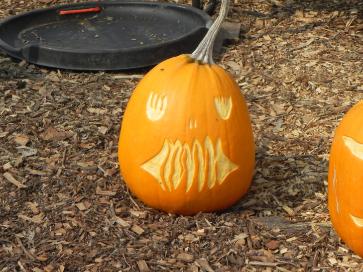 Flame, Nipomo Pumpkin Patch best carving idea